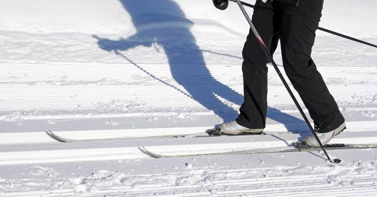 a cross country skier on a trail