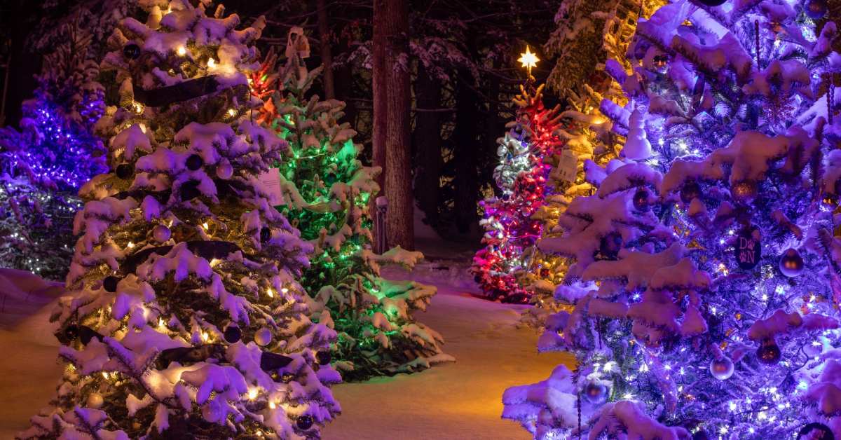 holiday trail of lights