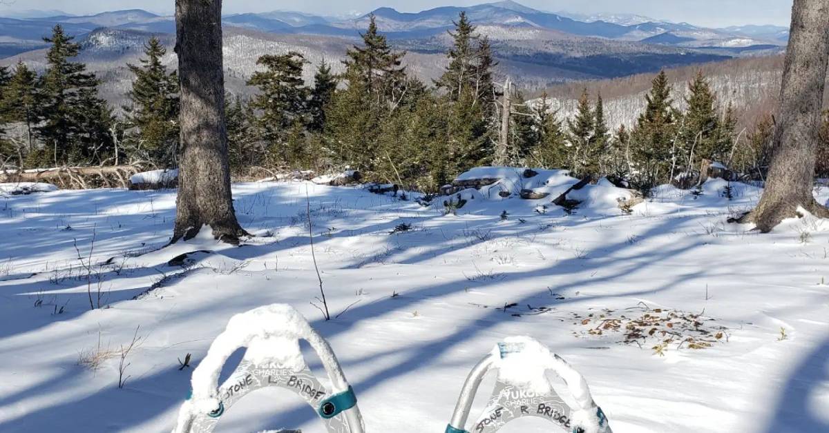 snow shoes looking out over winter landscape