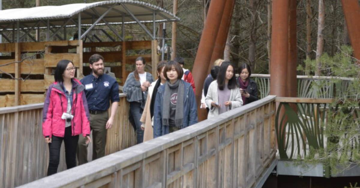 A group of people on a tour, walking together and observing their surroundings.