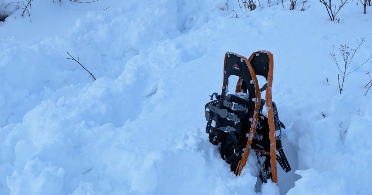 snowshoes in snow