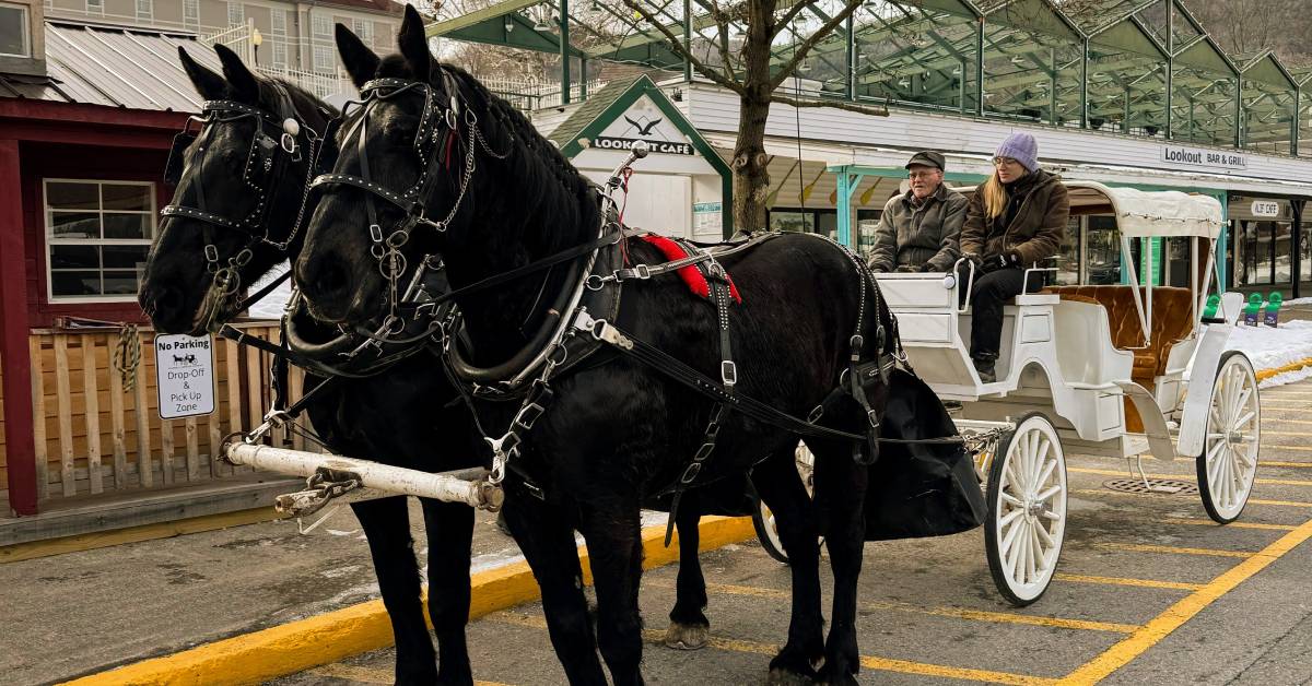 caldwell carriage company horses