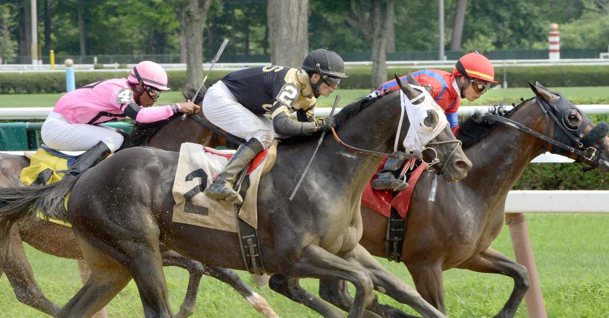 side view of racing horses