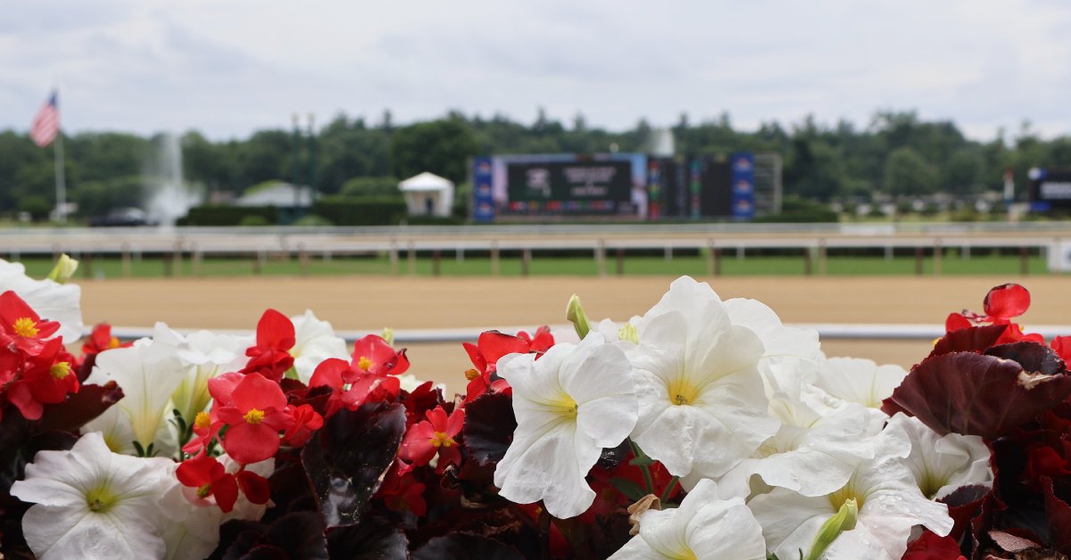 red and white flowers near a horse racetrack