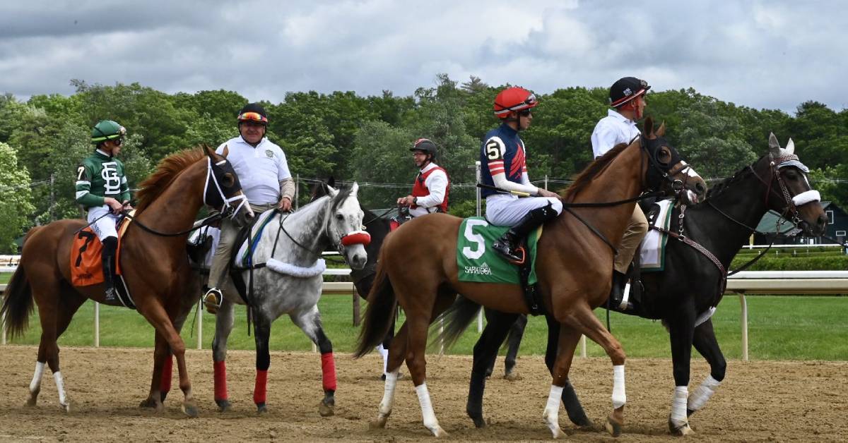 horses and jockeys at belmont racing festival in saratoga