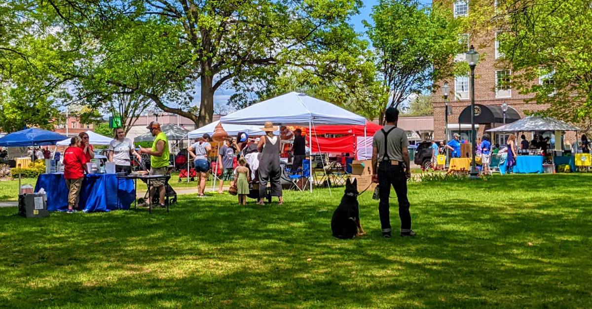 pet fest in glens falls