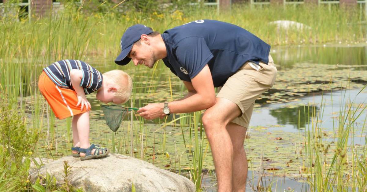 A man holding a fish net while a little boy looks into it. They are standing on a rock surrounded by water.