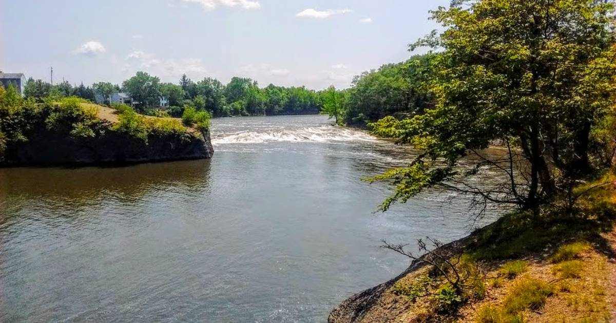 shoreline of waterway