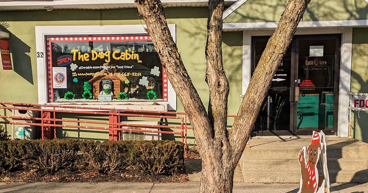 exterior of dog cabin in lake george