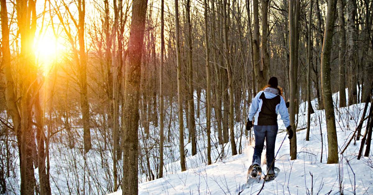 woman snowshoes in the woods