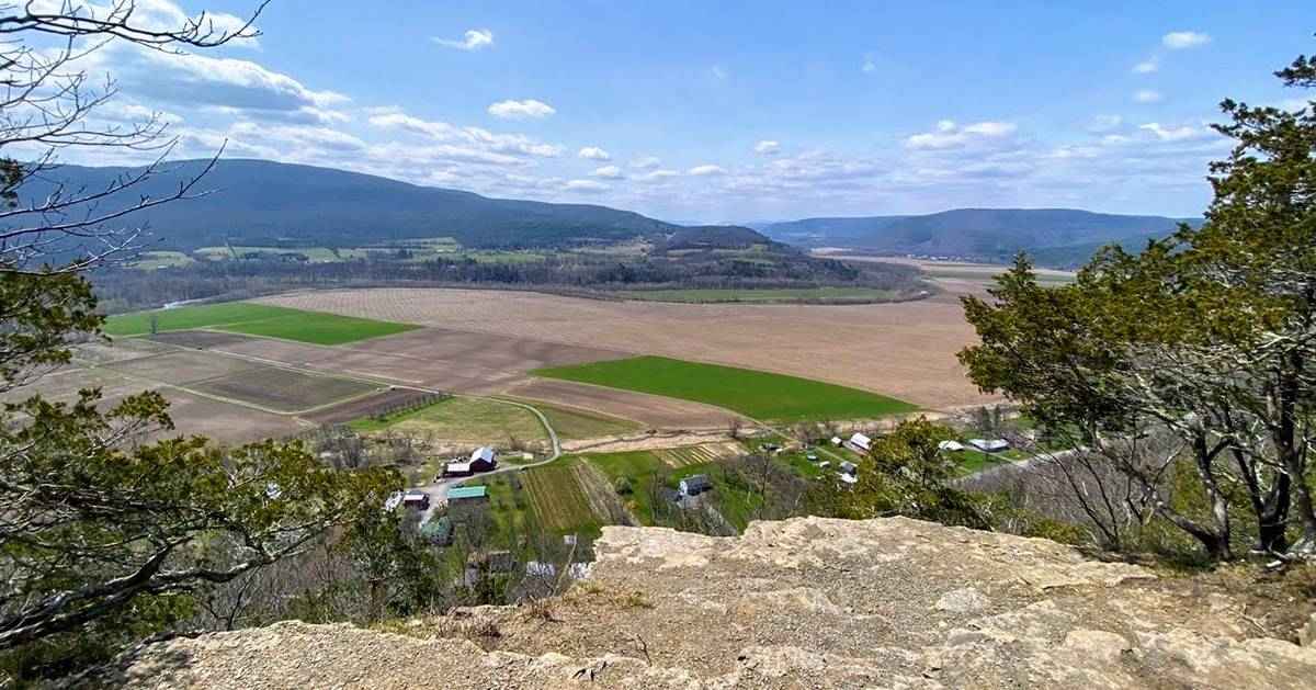 view overlooking field