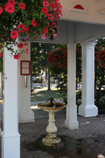 mineral spring