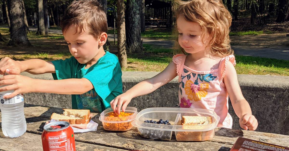 two kids on a picnic