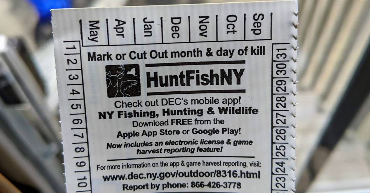 hutn fish ny license