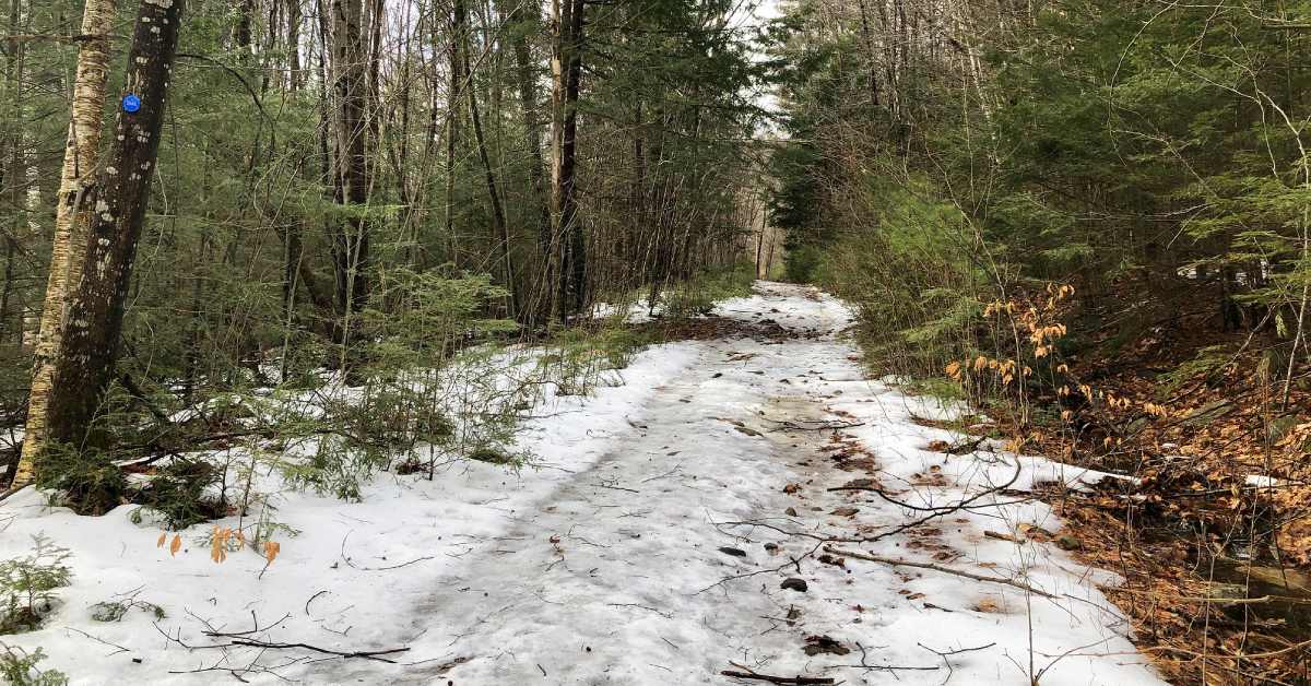 a snowy trail