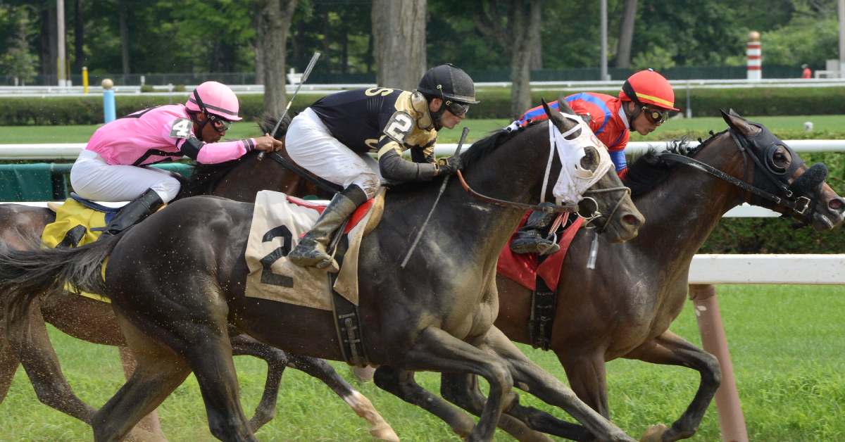 horses racing