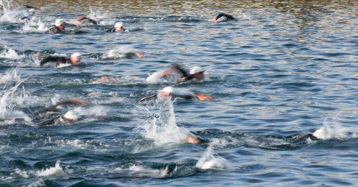 swimming race