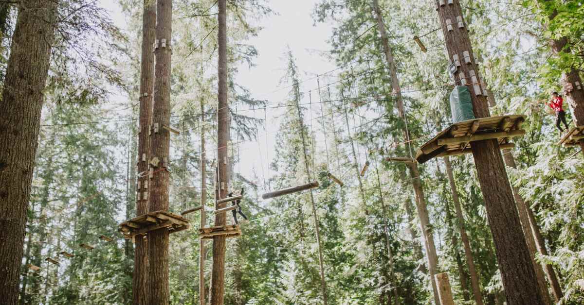 treetop obstacle course