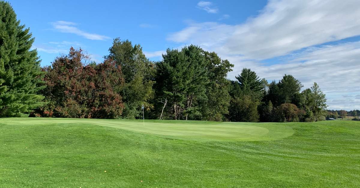 golf course with trees in the background