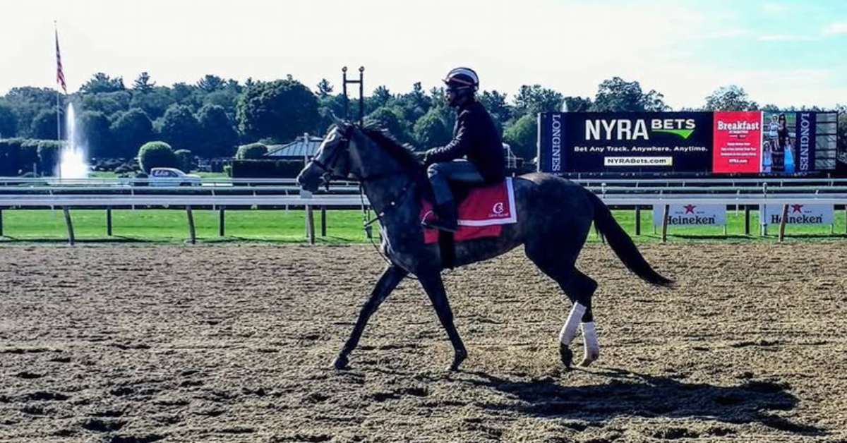 horse and jockey