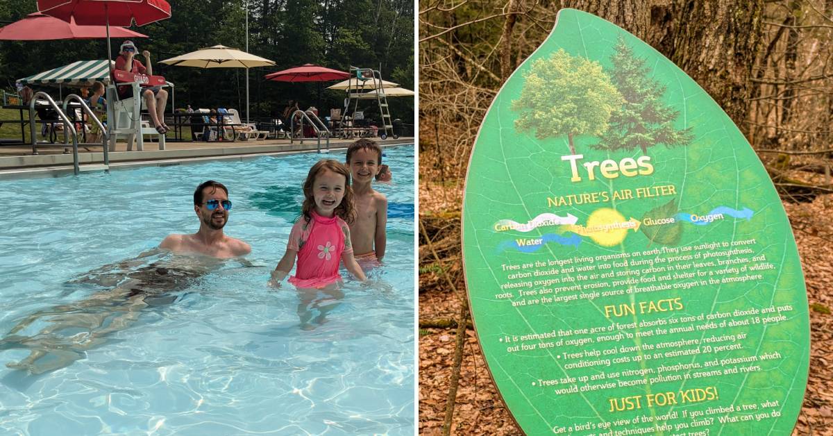 dad with kids in pool on the left, signage about trees on the right