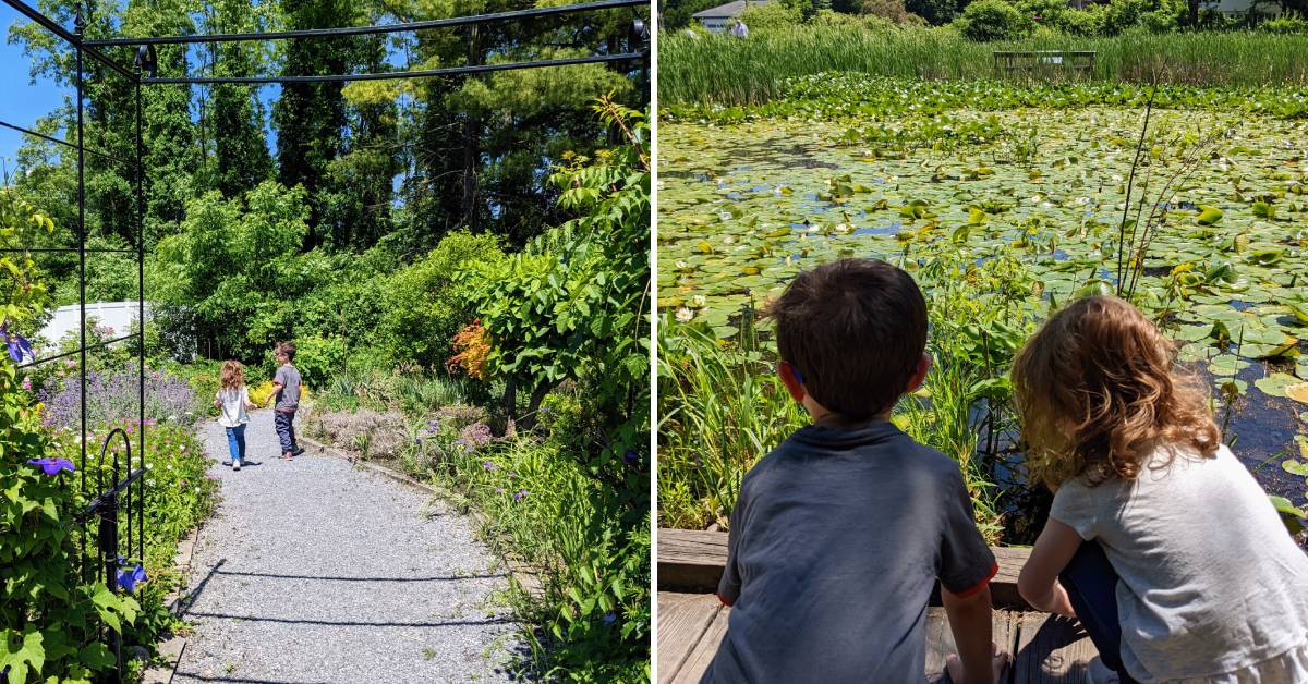 path through garden on left, kids at wetlands on the right