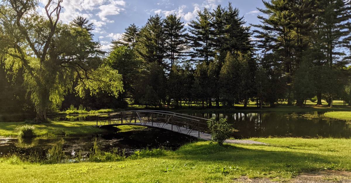 bridge over pond in crandall park