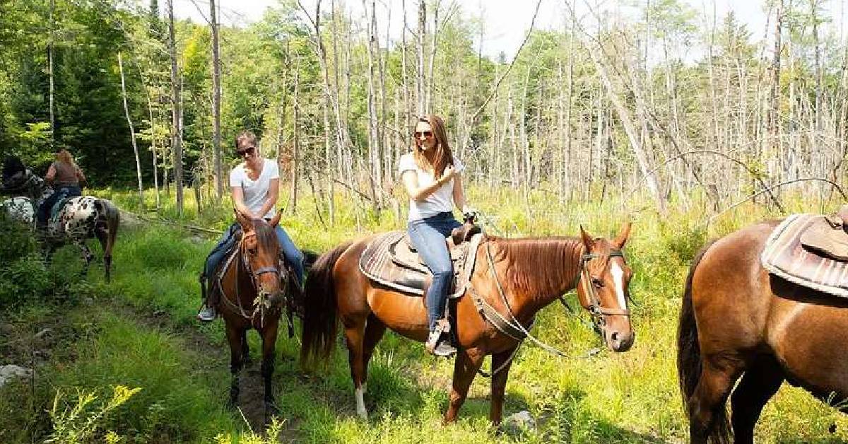 People on horseback on a trail ride