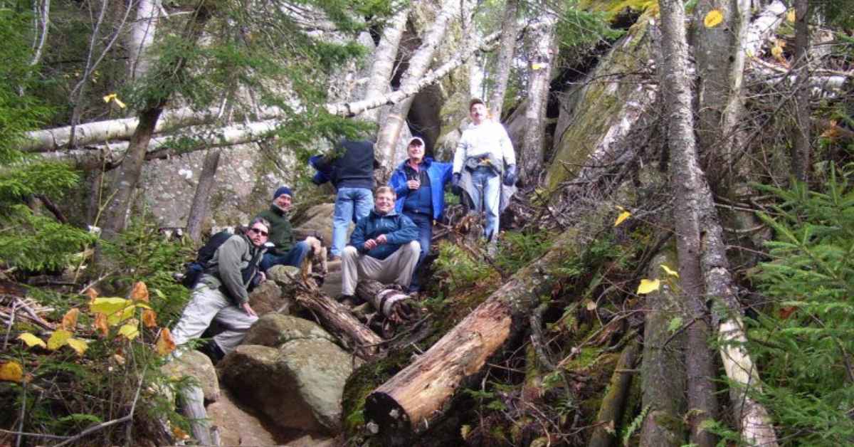 hikers on a wooded trail
