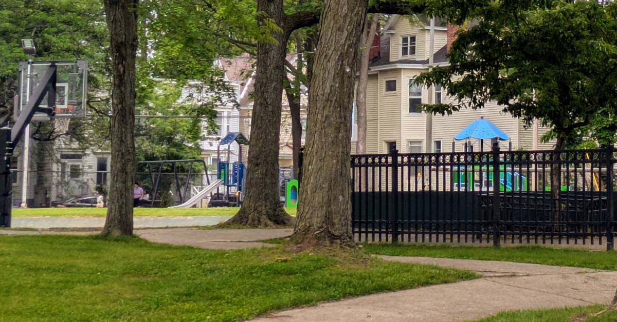 madison avenue playground in albany