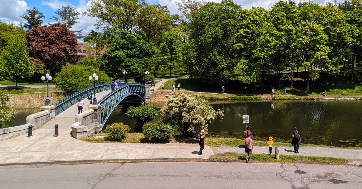bridge in washington park