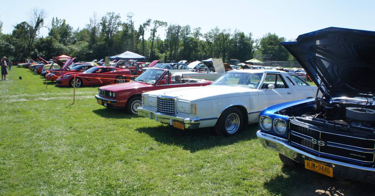 car show on the lawn