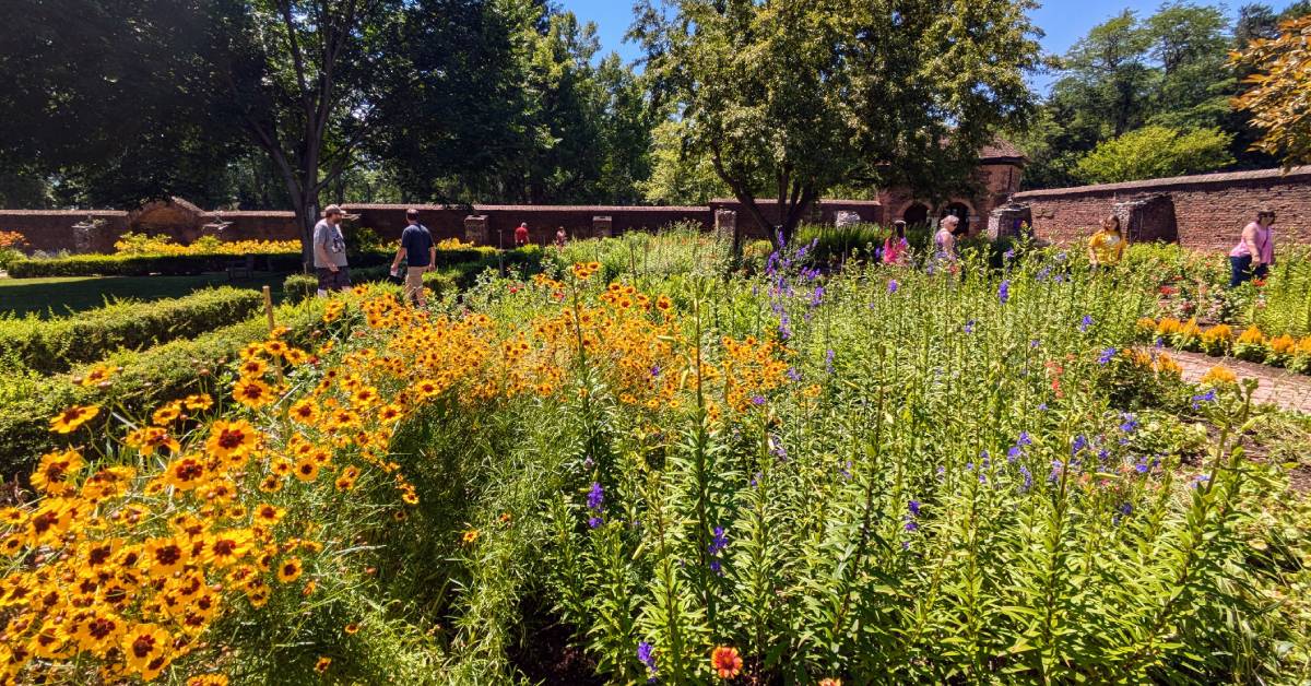 king's garden at fort ticonderoga