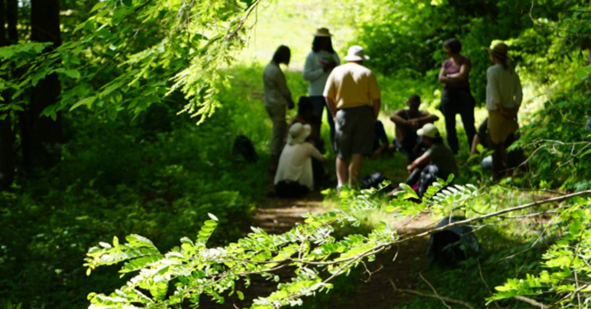 group of people in woods