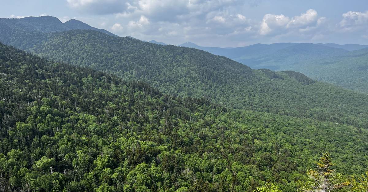 view from summit in adirondacks in summer