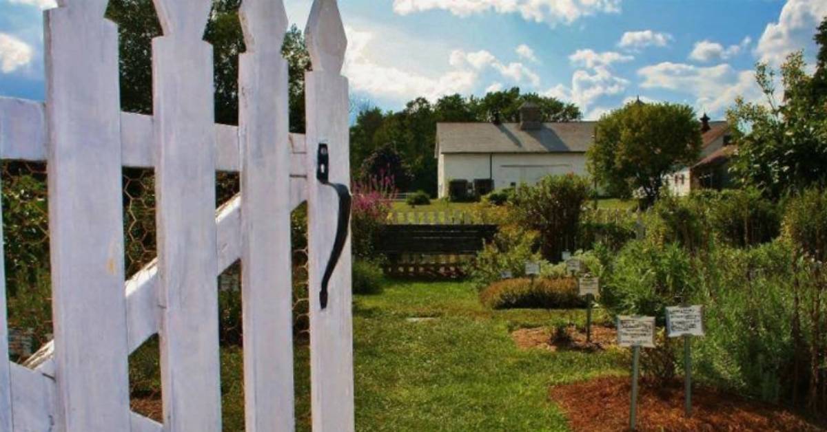 white gate leading into garden area