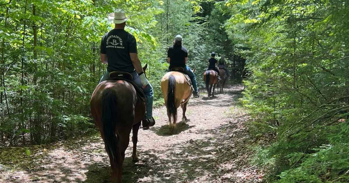horseback riding on a trail