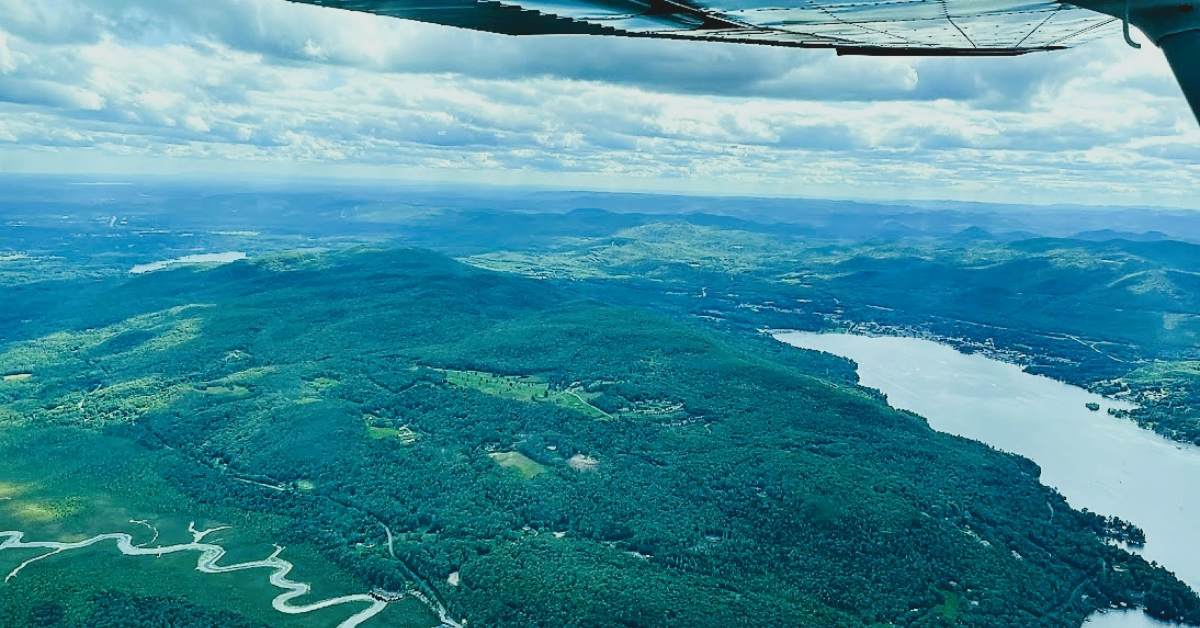 aerial view of forested area
