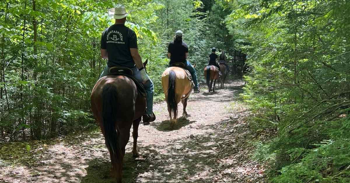 horseback riding