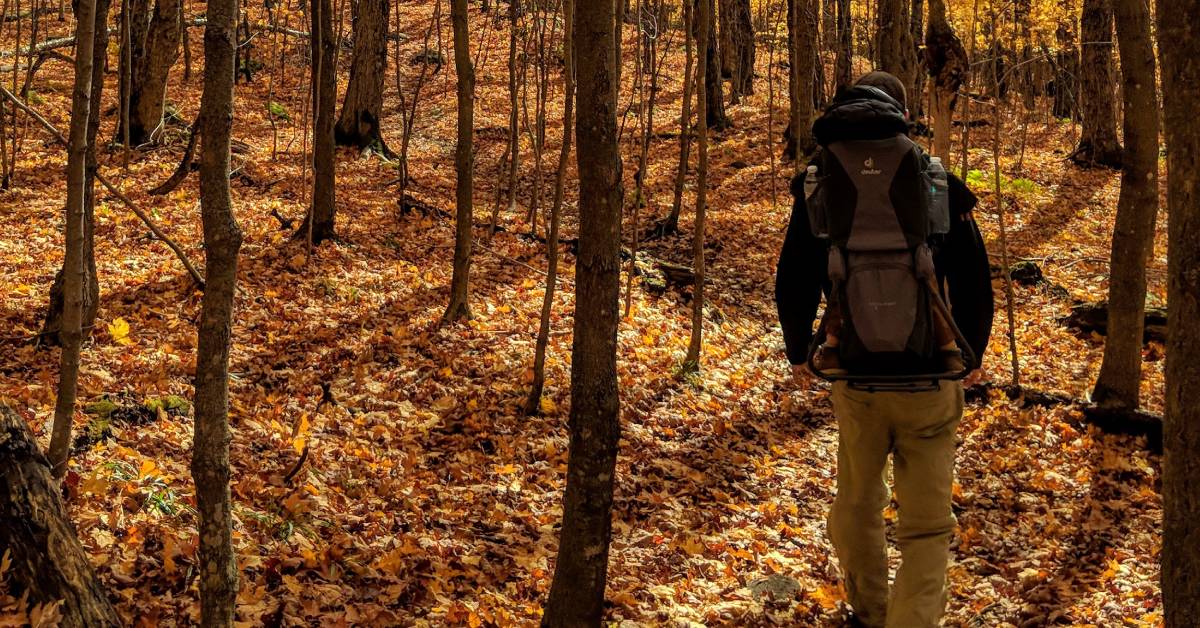 man hikes in woods in fall