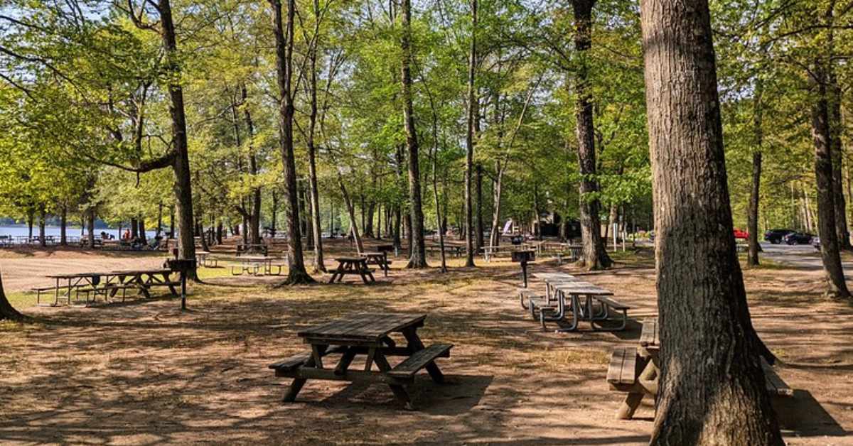 picnic tables spread out in a park