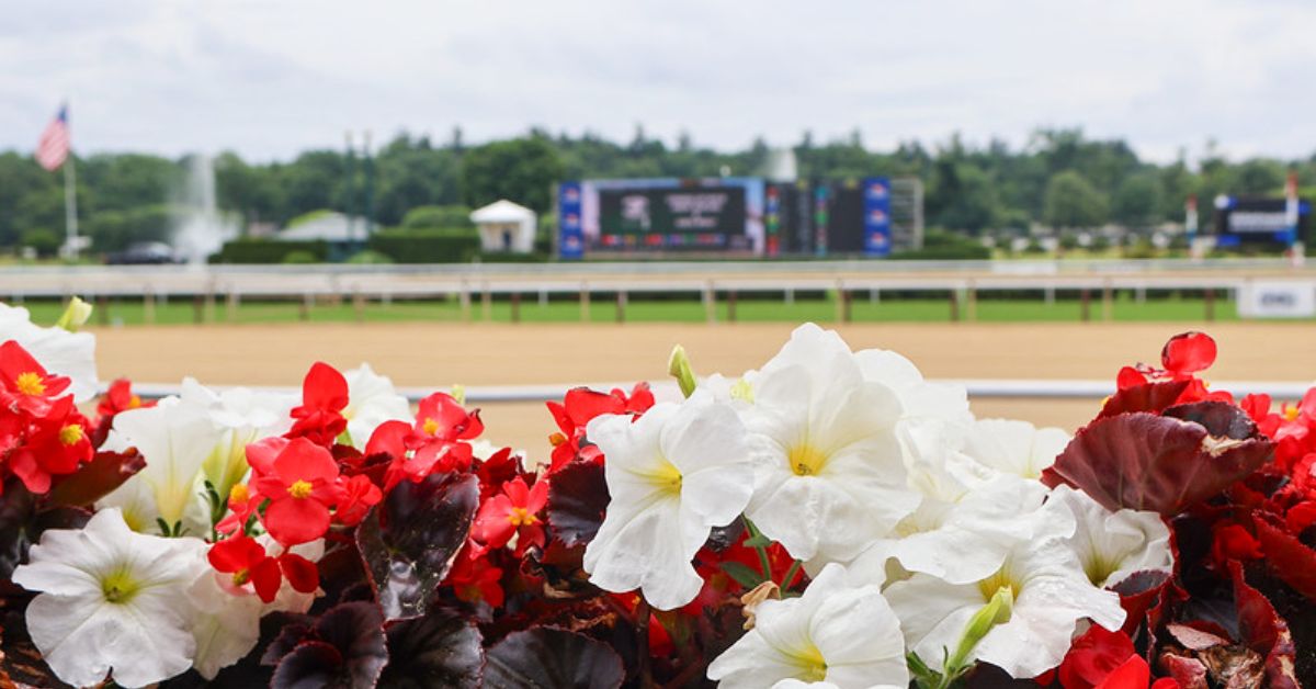 view of horse racing track