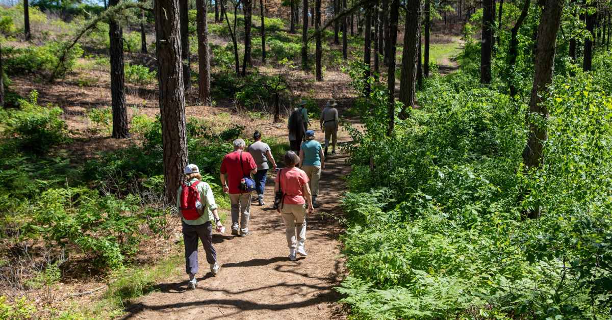 walking tour on nature trail