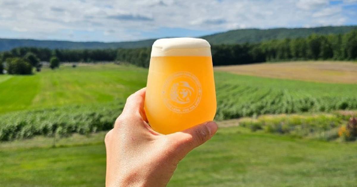 Man holding beer near field