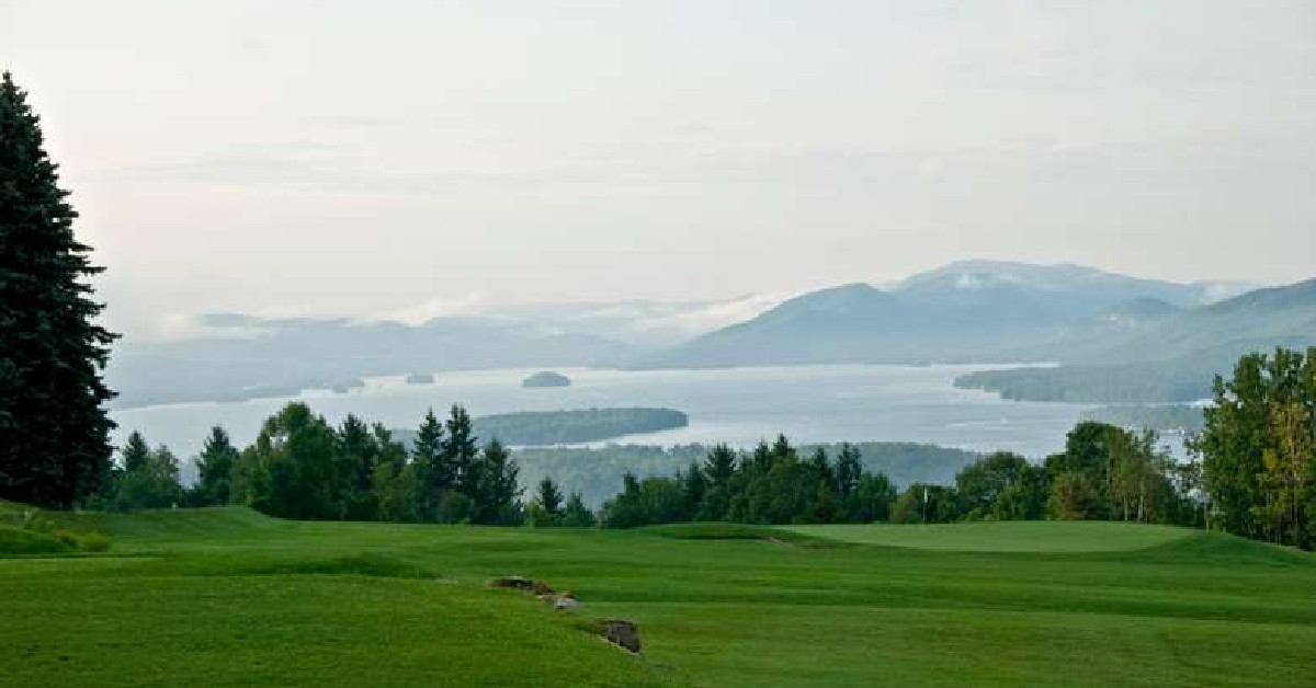 view of grass, trees, mountain