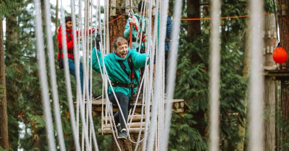 group of people exploring a treetop course