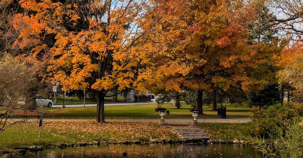 congress park in the fall