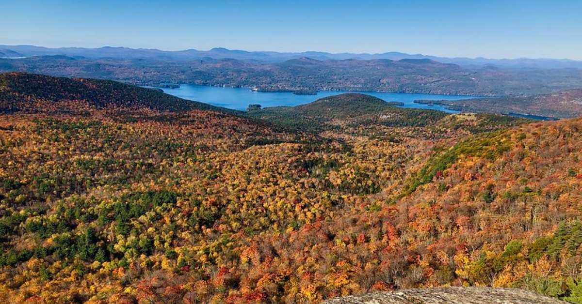 fall colors on trees with lake in the back