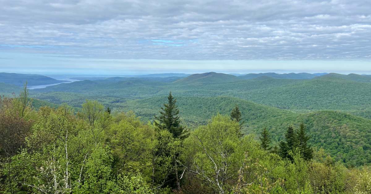 view of mountains and trees