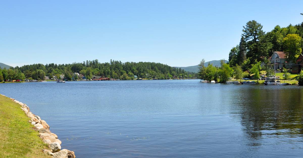 lake flower